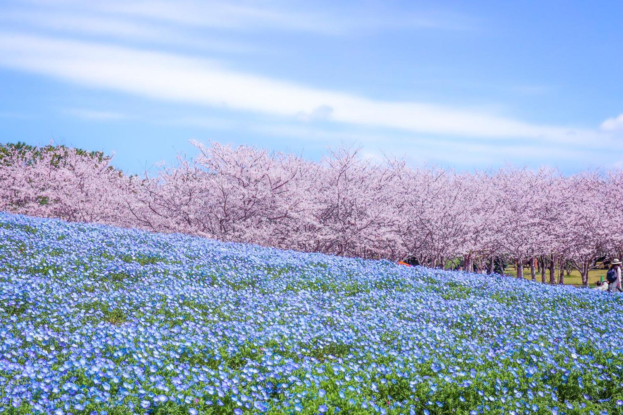 The Luigans Spa And Resort Fukuoka  Exteriör bild